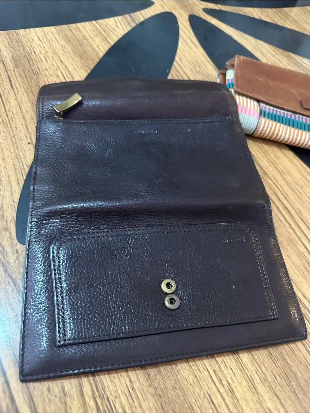 Fossil chestnut set one